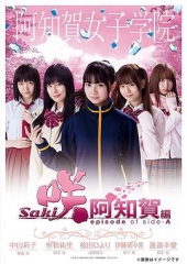 天才麻将少女：阿知贺篇特别篇咲-Saki